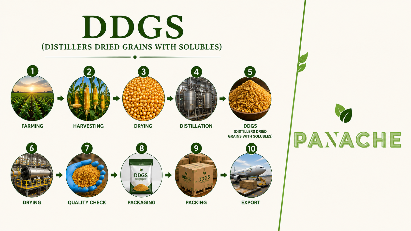 ddgs (distillers dried grains with solubles) panache trade land