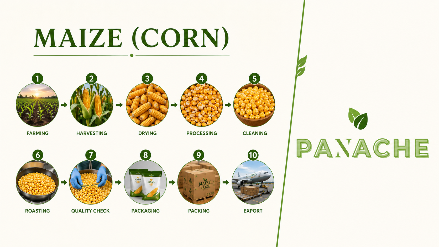 maize (corn) panache trade land