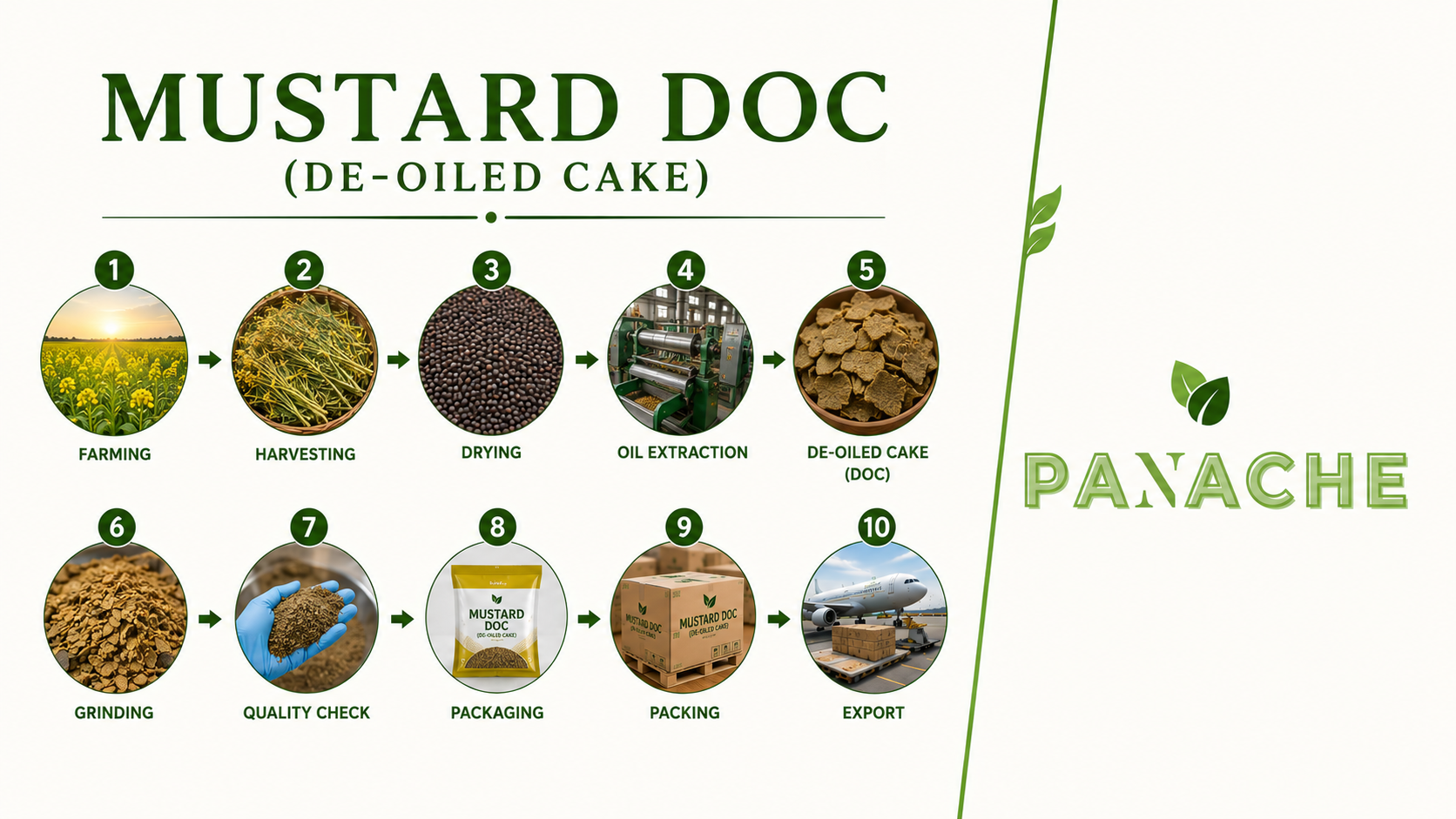 mustard doc (de oiled cake) panache trade land