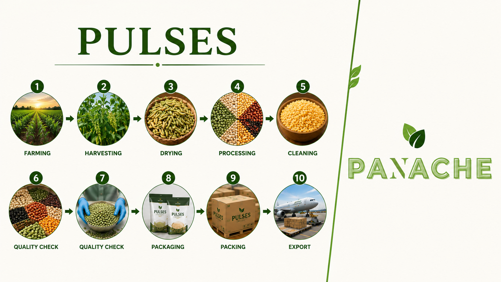 pulses panache trade land