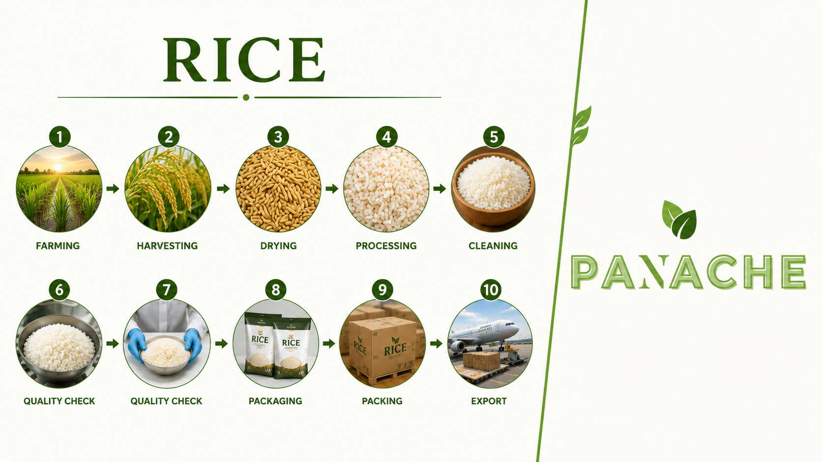 rice panache trade land